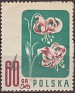 Poland 1957 Flora, Flowers 60 Groszv Multicolor Scott 781. Polonia 781. Uploaded by susofe